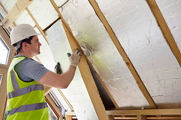 Best Insulation Removal  in Brook Park, OH